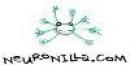 Neuronilla
