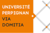 Universidad de Perpiñán, Programa Miro