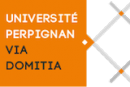 Universidad de Perpiñán, Programa Miro