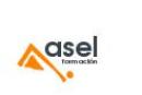 Agencia de Servicios Educacionales y Lingüísticos, sl (ASEL,SL)