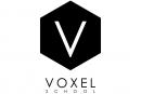 Voxel School