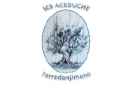 IES Acebuche