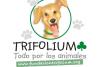 Fundación Trifolium