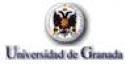 UGR - Departamento de Física Teórica y del Cosmos