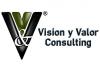 Vision y Valor Consulting S.L