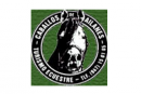 Club de Turismo Ecuestre Caballos de Ailanes
