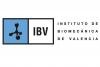 Instituto de Biomecánica - IBV
