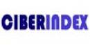 Ciberindex - Fundación Index