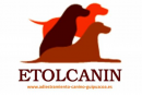 Etolcanin