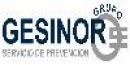 Grupo Gesinor