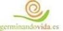 Germinando Vida
