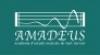 Amadeus Acadèmia D'estudis Musicals de Sant Gervasi