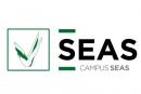 SEAS - Estudios Superiores Abiertos